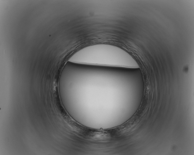 X0000090920555200707301056