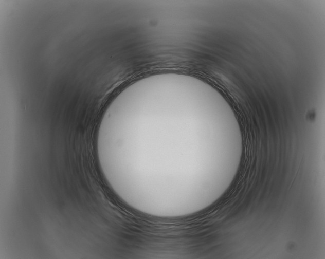 X0000090920556200707301056