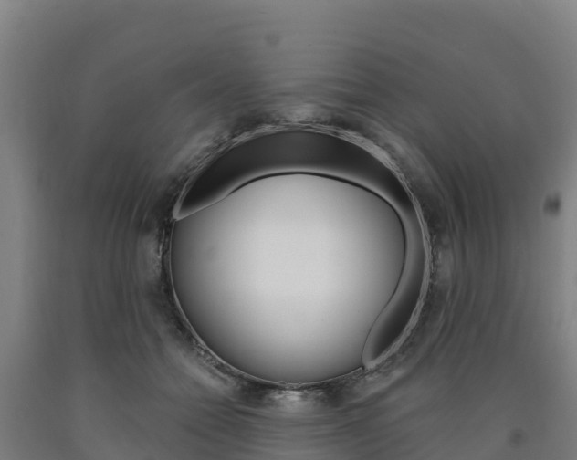 X0000090920558200707301056