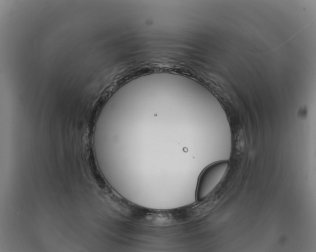X0000090920559200707301056