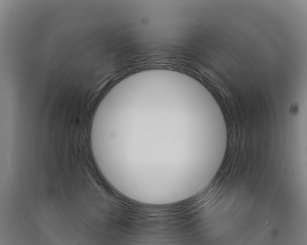 X0000090920560200707301056