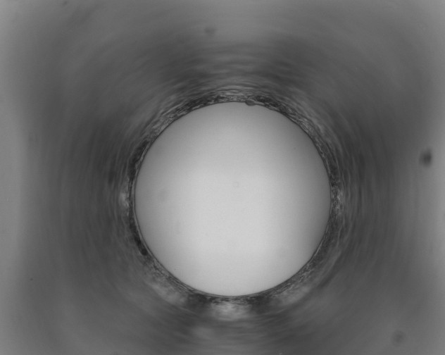 X0000090920561200707301056