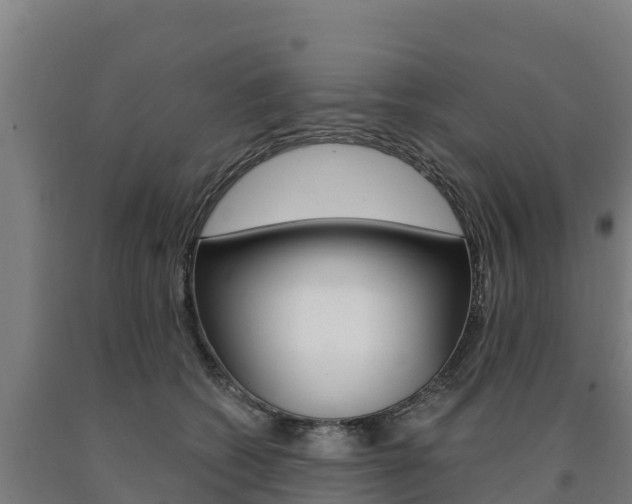 X0000090920562200707301056