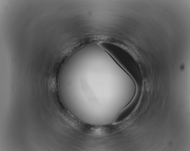 X0000090920564200707301056