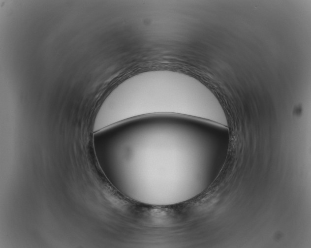 X0000090920566200707301056