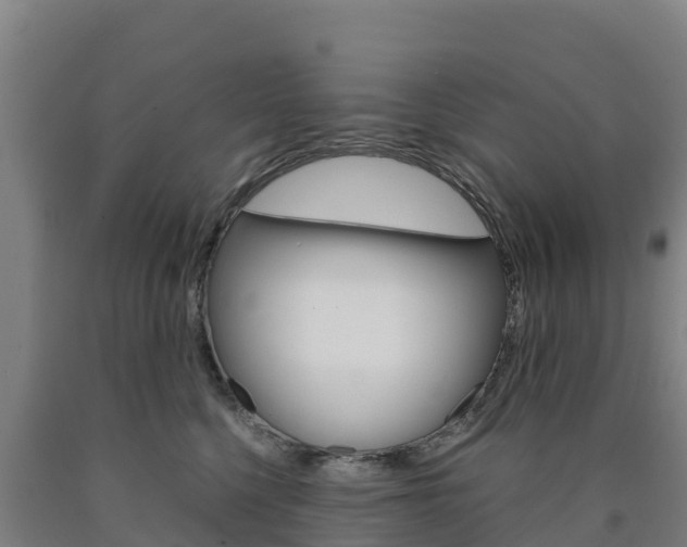 X0000090920568200707301056