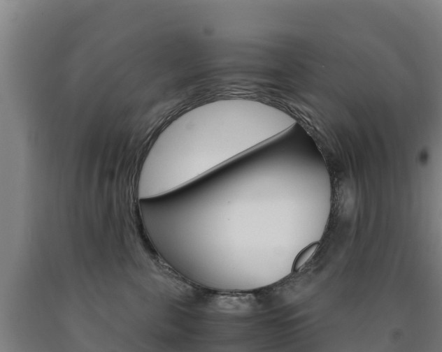 X0000090920571200707301056