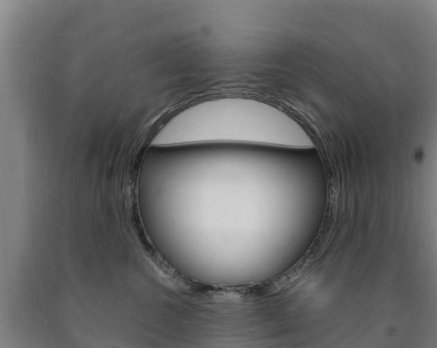 X0000090920572200707301056