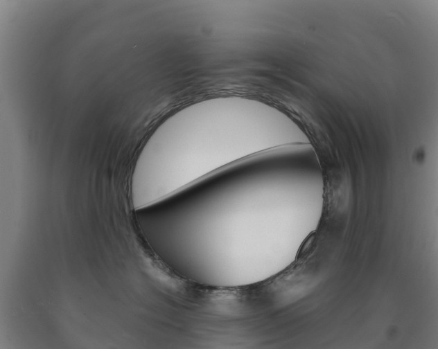 X0000090920574200707301056