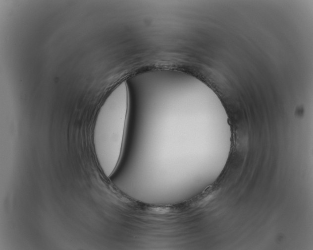 X0000090920575200707301056