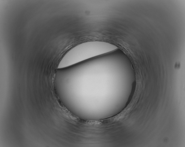 X0000090920576200707301056