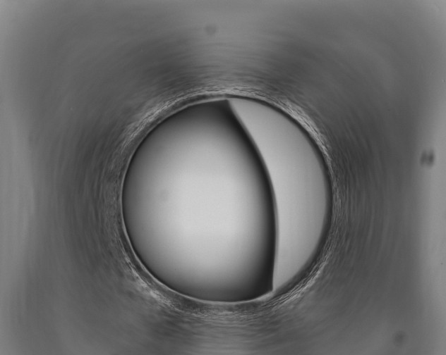 X0000090920577200707301055