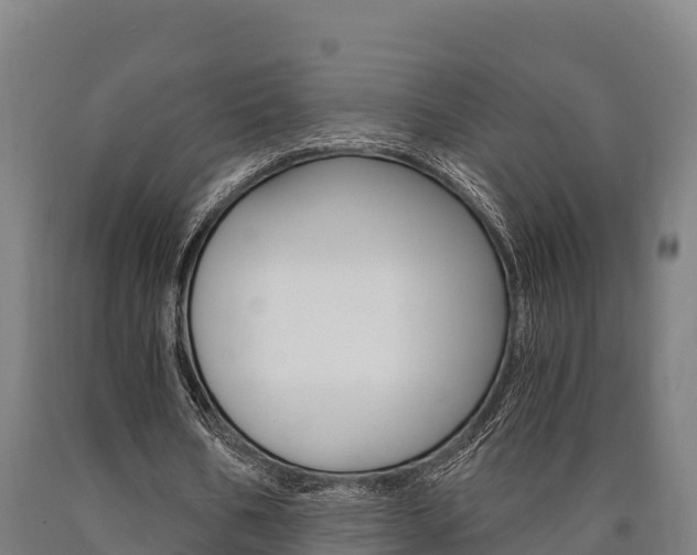 X0000090920578200707301055