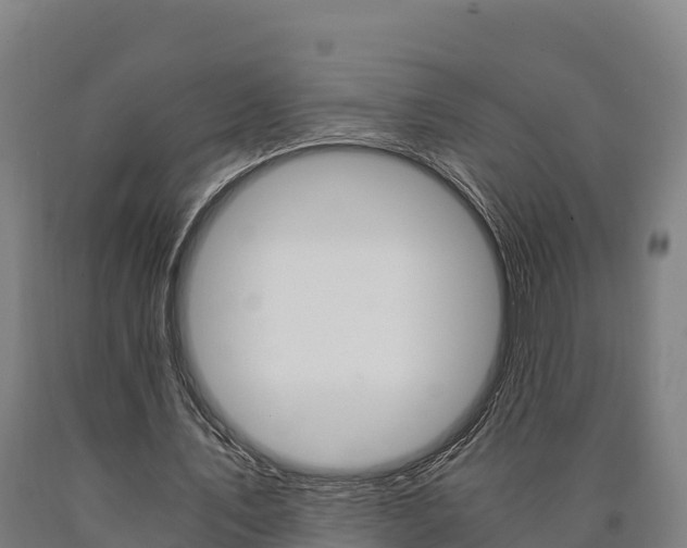 X0000090920579200707301055