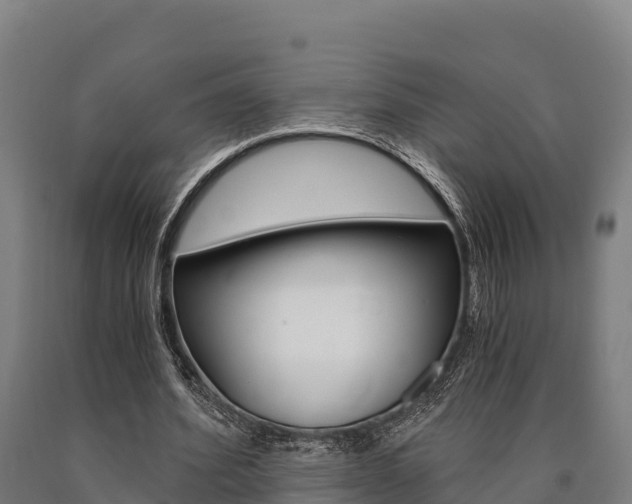 X0000090920580200707301055