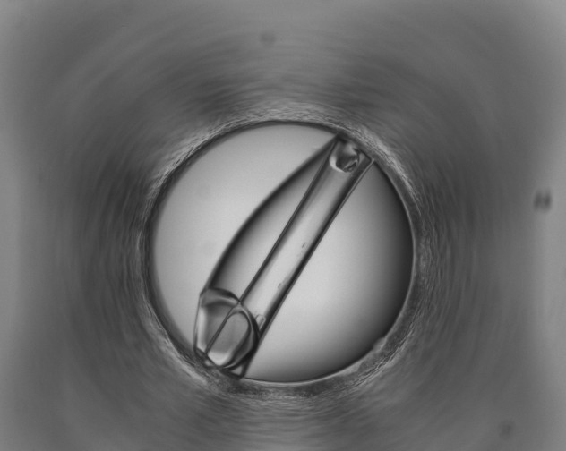 X0000090920581200707301055