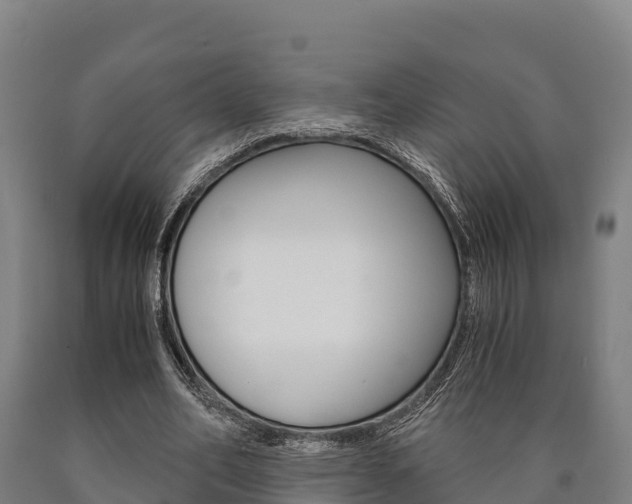 X0000090920582200707301055