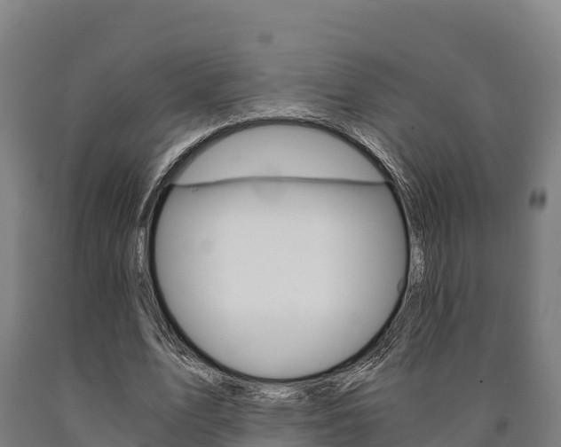 X0000090920583200707301055