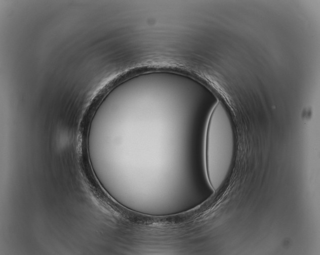 X0000090920584200707301055