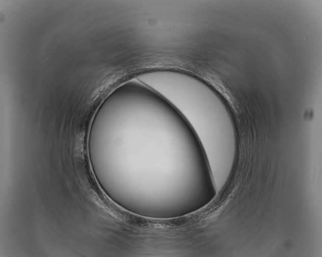X0000090920585200707301055