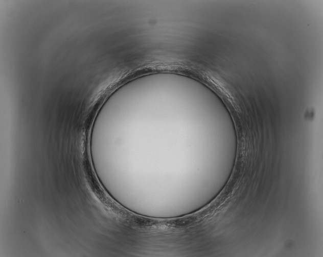 X0000090920586200707301055