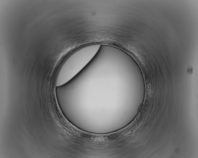 X0000090920587200707301055