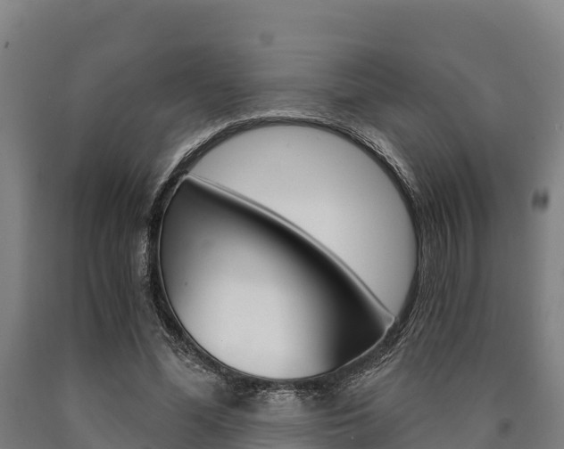 X0000090920588200707301055