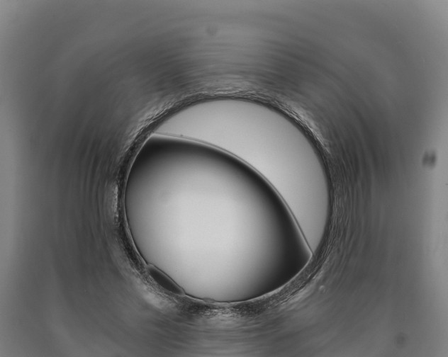 X0000090920589200707301055