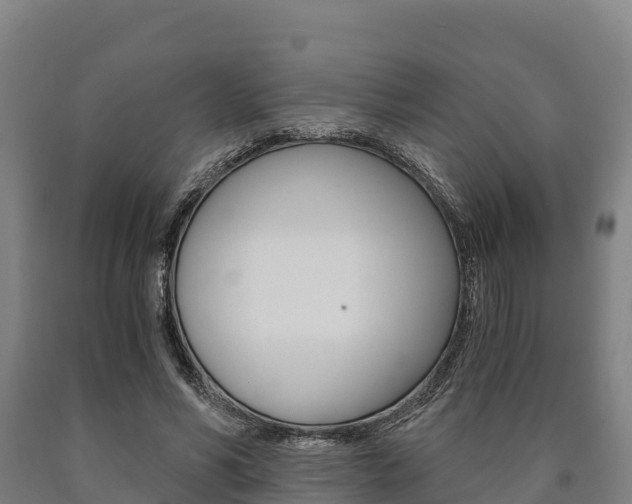 X0000090920590200707301055