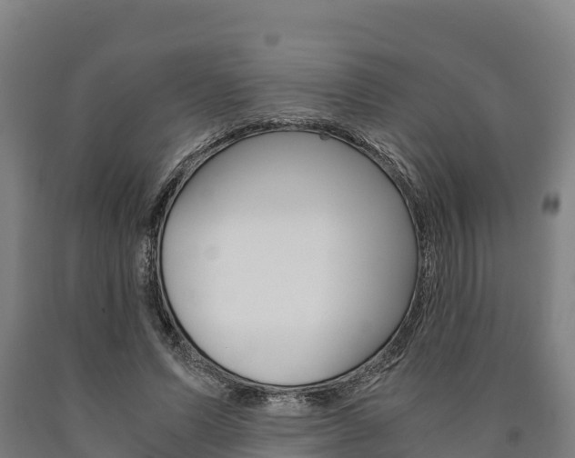 X0000090920591200707301055