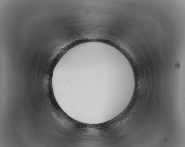 X0000090920592200707301055