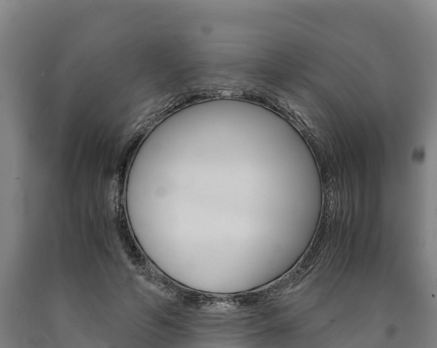 X0000090920594200707301055