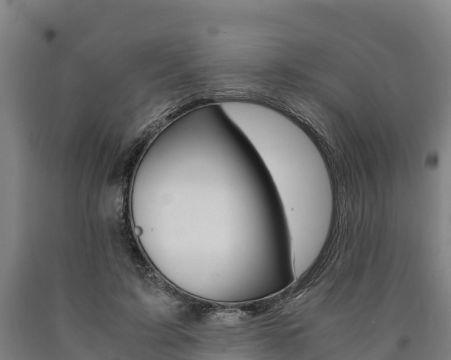 X0000090920595200707301055