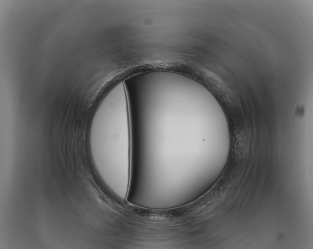 X0000090920596200707301055