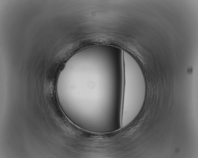 X0000090920597200707301055