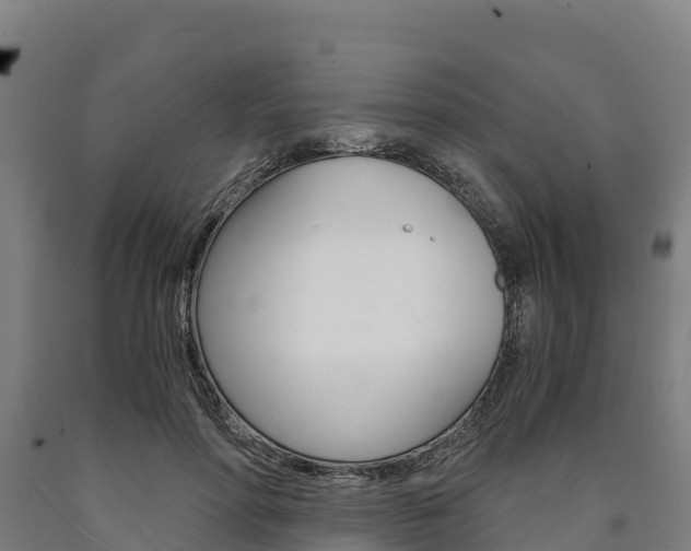 X0000090920598200707301055