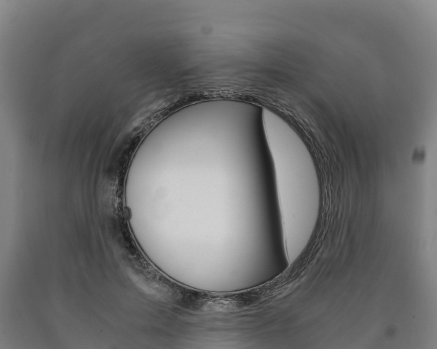 X0000090920599200707301055