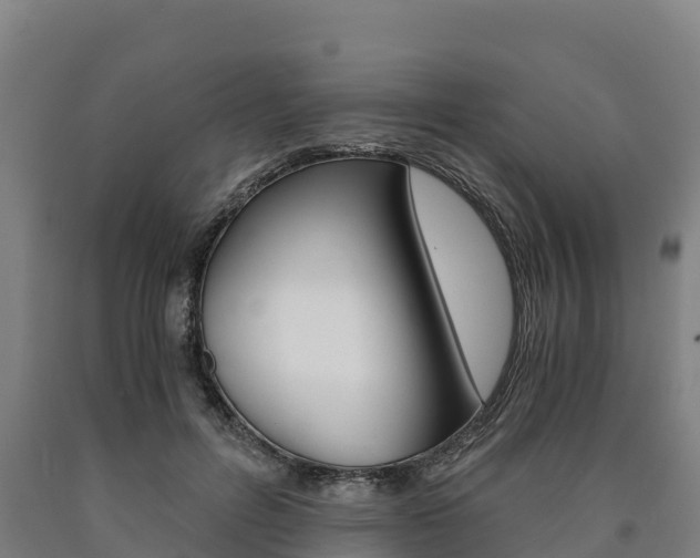 X0000090920600200707301055