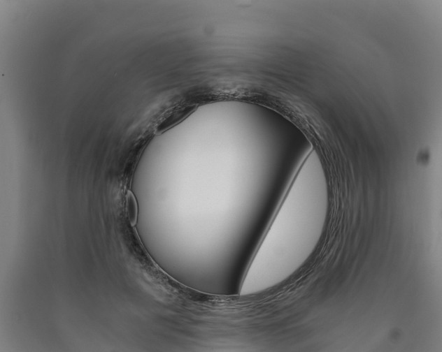 X0000090920601200707301055