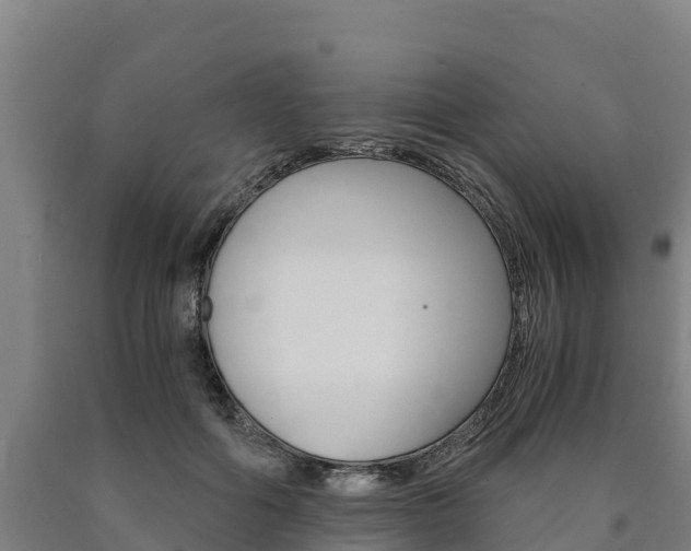 X0000090920602200707301055