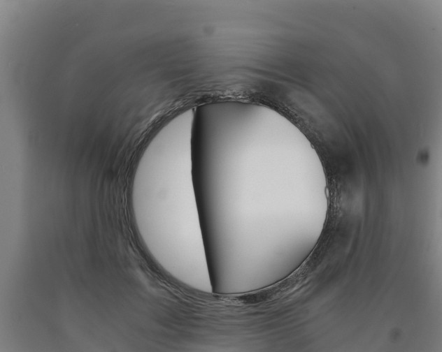 X0000090920603200707301055