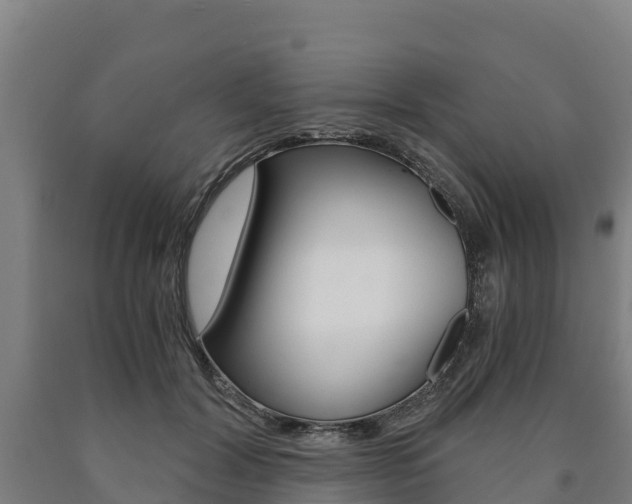 X0000090920604200707301055