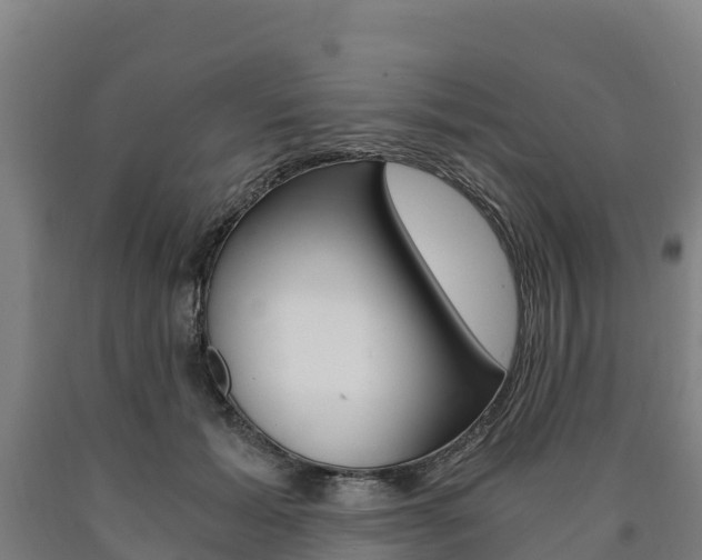 X0000090920605200707301055