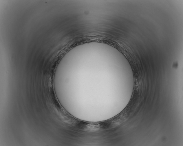 X0000090920606200707301055