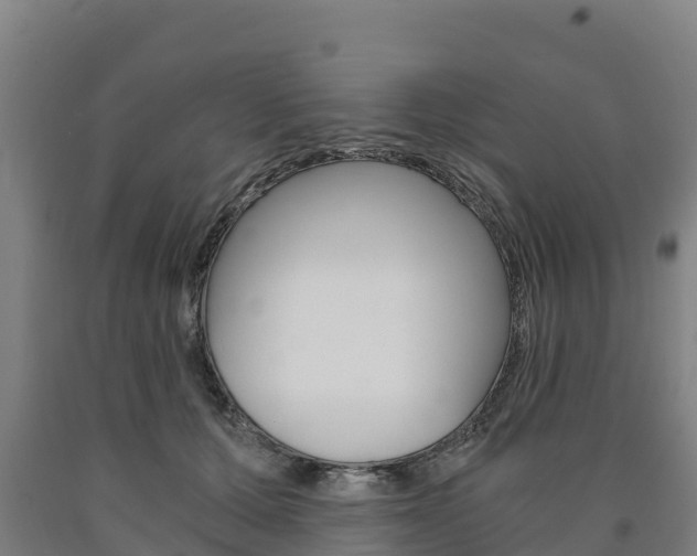 X0000090920607200707301055