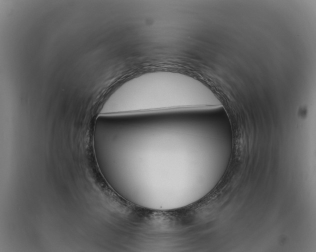 X0000090920608200707301055