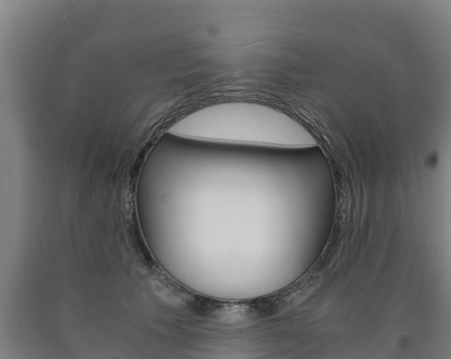 X0000090920609200707301055