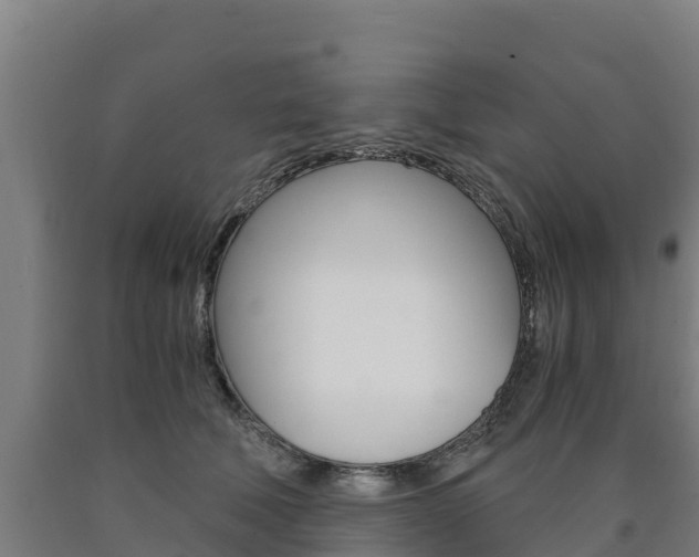 X0000090920610200707301055