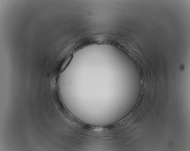 X0000090920611200707301055
