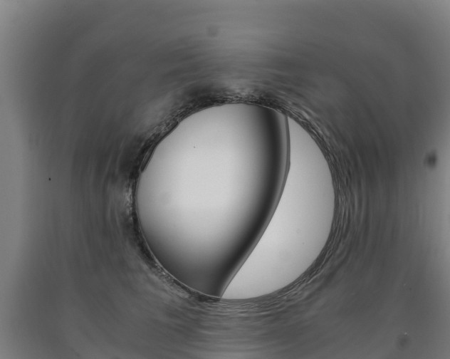 X0000090920613200707301055